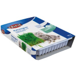 Kattagras, bakki, 100g