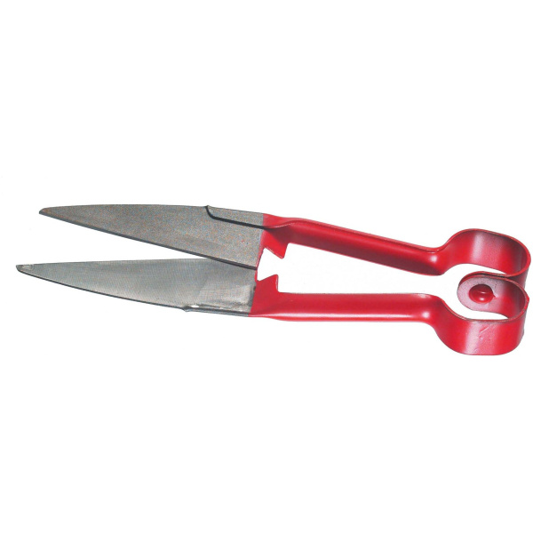 Sauðaklippur, FG70191