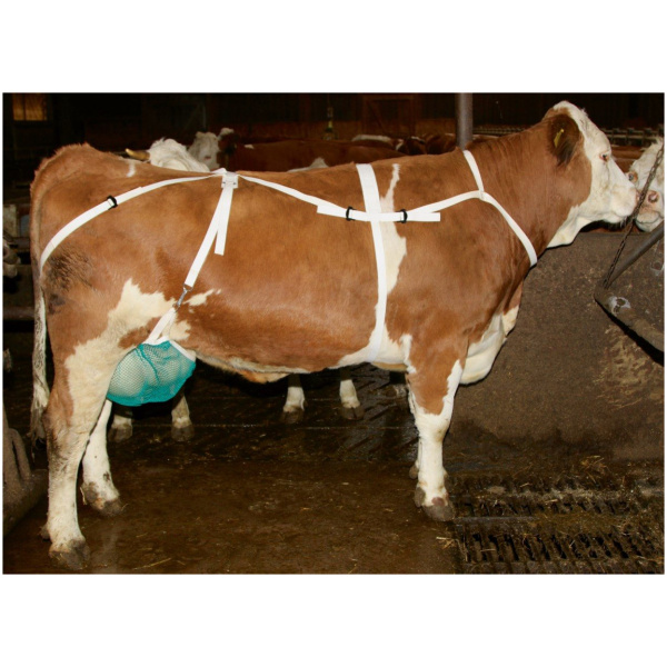 Júgurhöld með hálsbandi