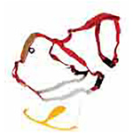 Belti fyrir skeiðarspaða