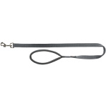 Hundataumur, XS-S, grár