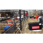 Heatwave kálfa- og lambafóstra