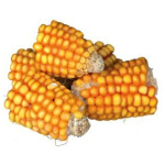 Nagdýranammi, maís, 300g