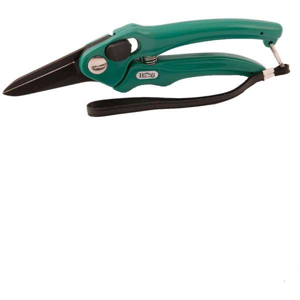 Klaufklippur, grænar, Burgeon og Ball