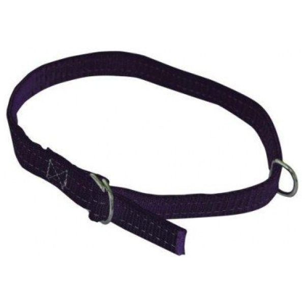 Hálsband fyrir sauðfé