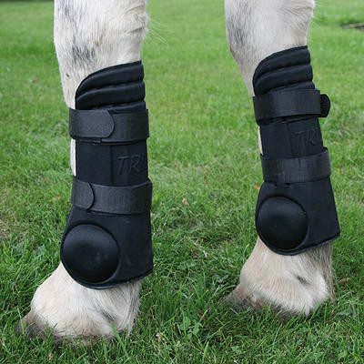 19413-trieb-rennpassgamaschen-pasklokker-hestagallery.jpeg Legghlífar, léttar, svartar # - Image 1