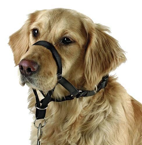 201-360.jpg Hundamúll, 24cm# - Image 1