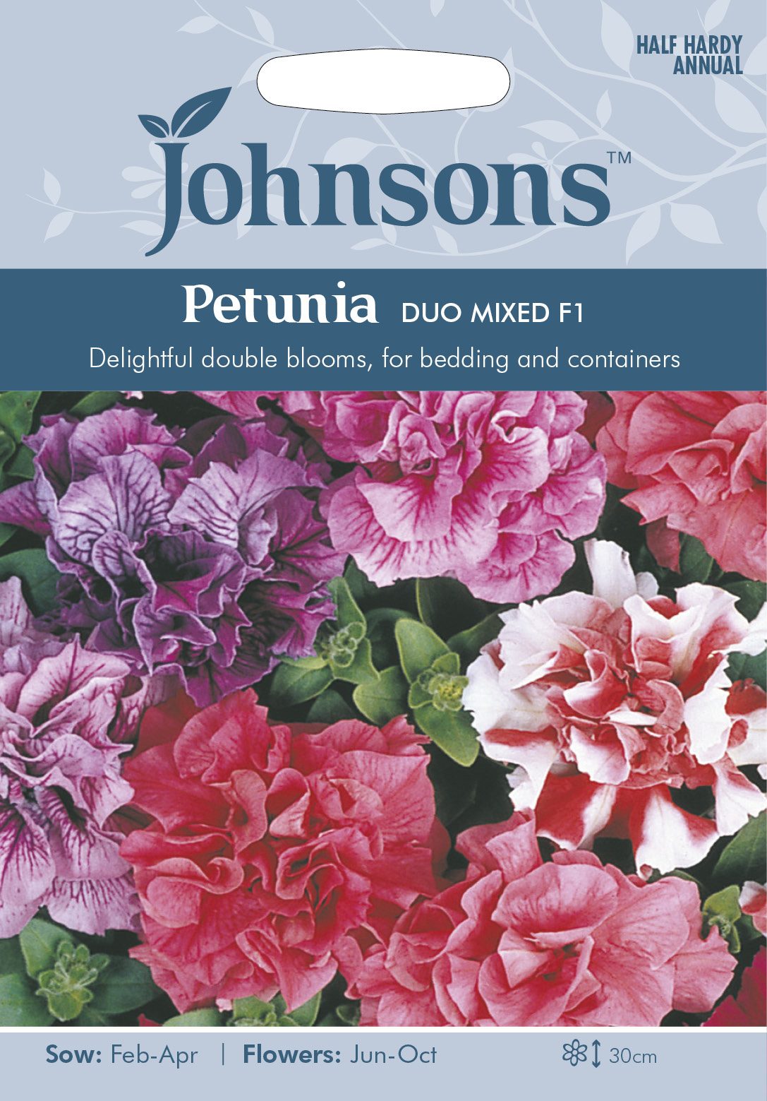 2368620petunia20duo20mixed20f1.jpg Tóbakshorn, Petunia Duo Mixed - Image 1