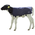 Ábreiða fyrir kálfa, 70cm, Easy Wear