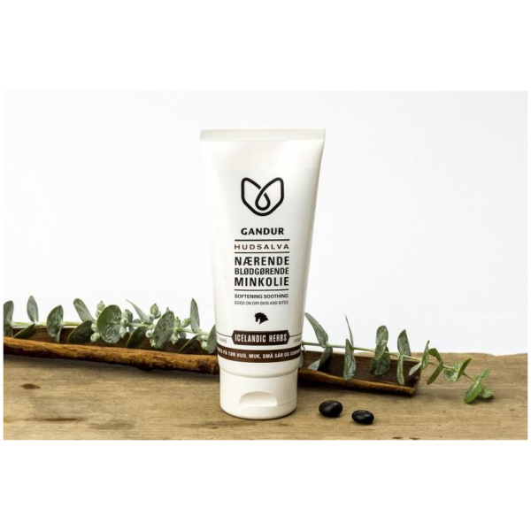 Húðsmyrsl, 100mL, Gandur