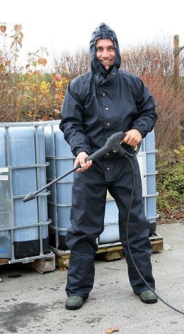 291243.jpg Regngalli, heilgalli # - Image 1