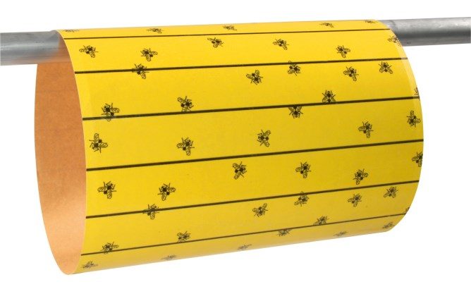 5143.jpg Flugnalímpappír, 595x300mm - Image 1