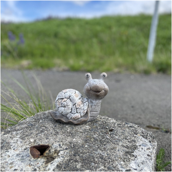 Garðstytta, snigill, grár