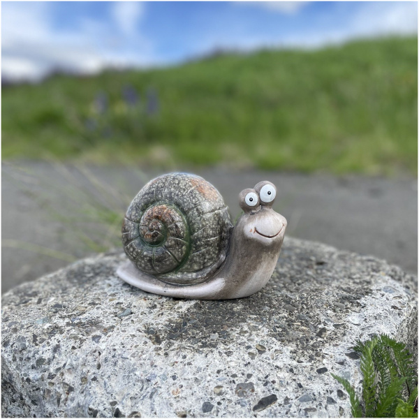 Garðstytta, Snigill með grænan kuðung