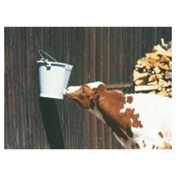 Kálfafata með 1 túttu