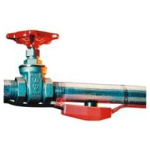 Frostkapall, 18m, FG71006