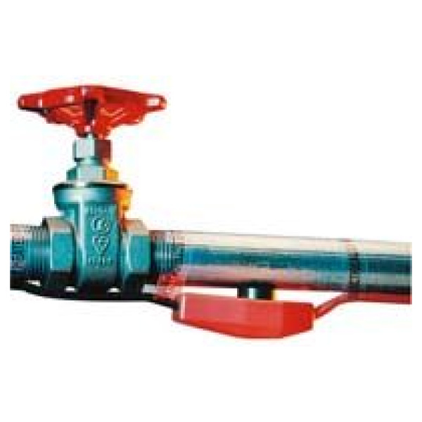 Frostkapall, 18m, FG71006