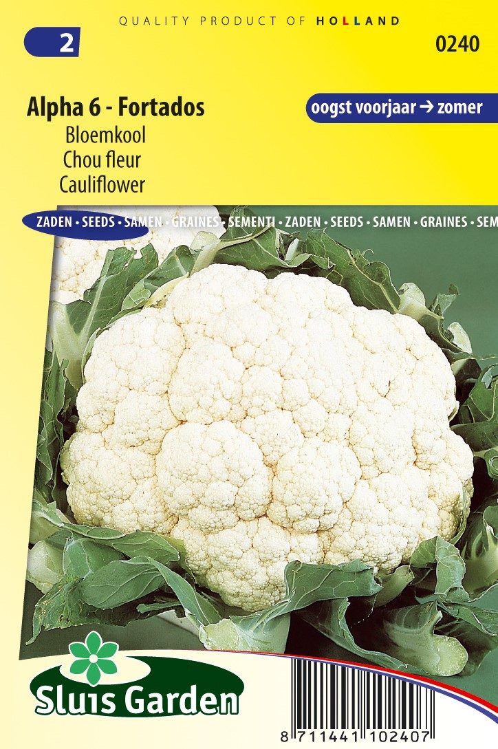 cauliflower-alpha-6-fortados-brassica-oleracea.jpg Blómkál, Alpha 6 - Image 1