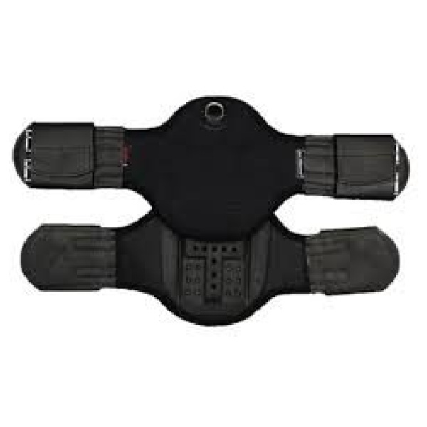 Gjörð, Dressage Eric le Tixerant