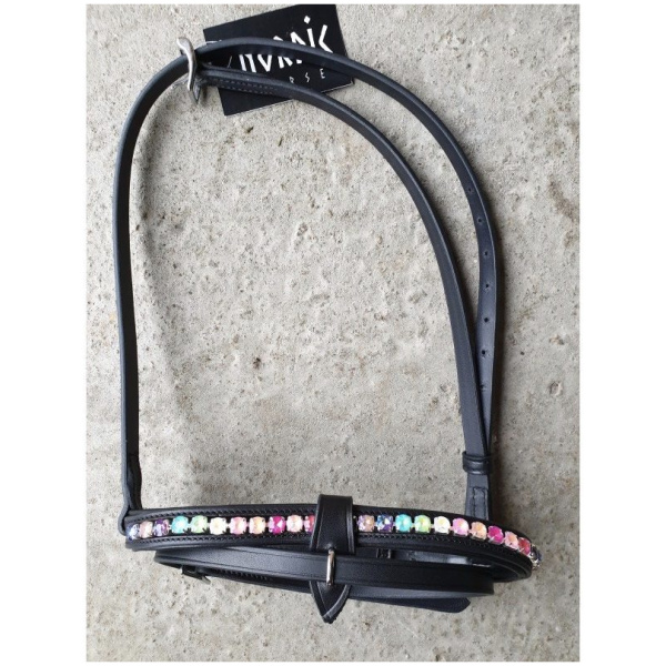 Krossmúll, Regnbogalitir