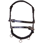 Hringtaumsmúll, Cavesson #