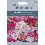 Meyjablómi, Godetia Dwarf Jewel Mixed