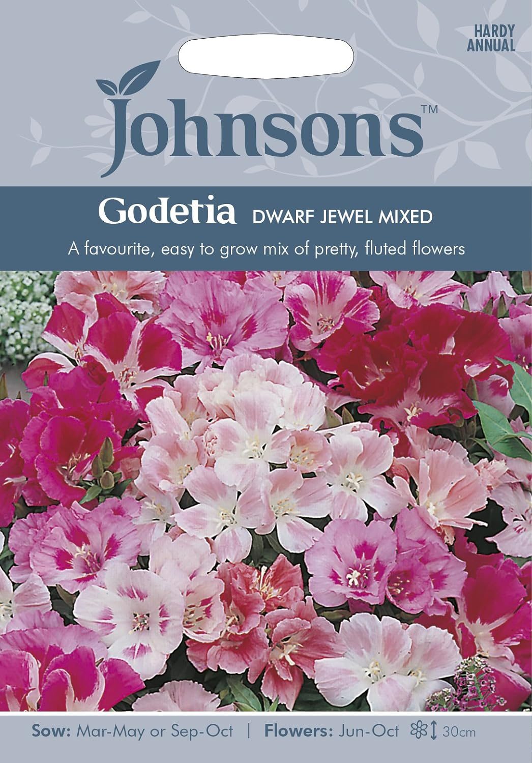 jo10217a.jpg Meyjablómi, Godetia Dwarf Jewel Mixed - Image 1