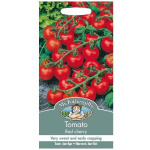 Tómatar, kirsuberja, Red Cherry