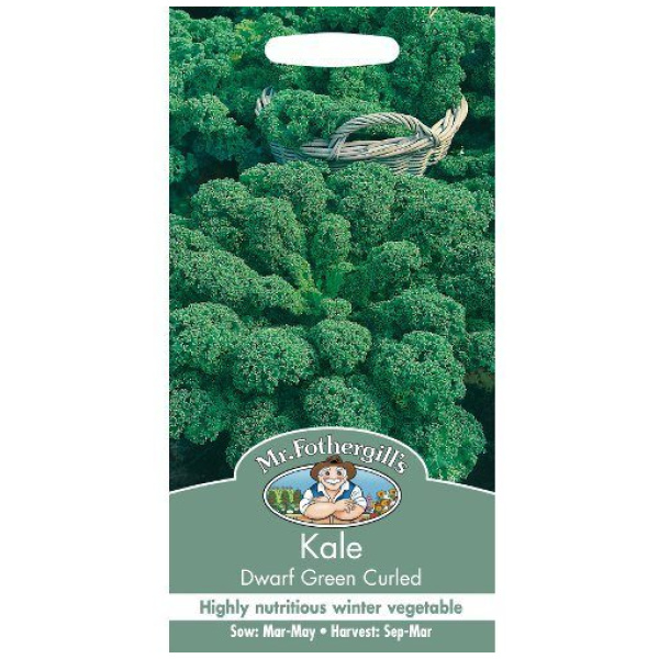 Grænkál, Kale, Dwarf Green Curled