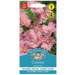 Brúðarstjörnur, Cosmos Apricotta
