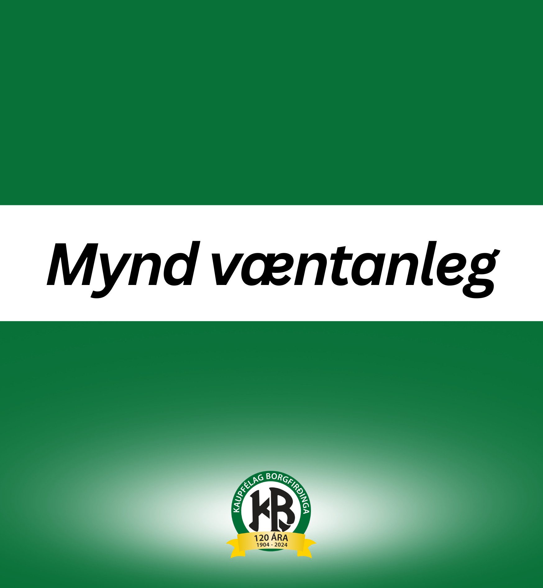 mynd-vaentanleg_8.png Nítrítsalt, 5kg - Image 1