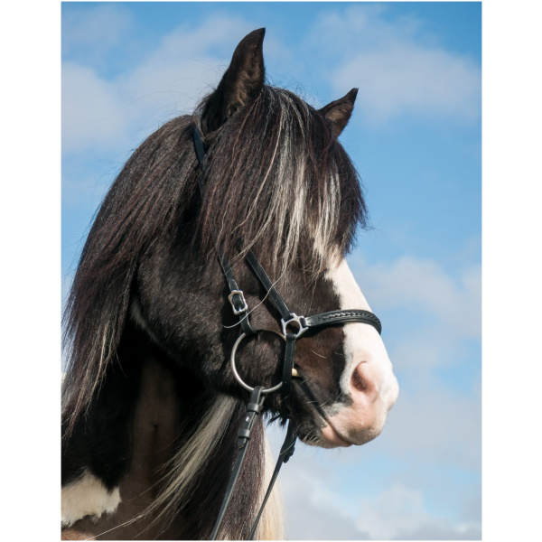 Nasamúll, Softline, svart fléttað