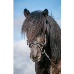 Krossmúll, Softline, brúnt/svar fléttað#