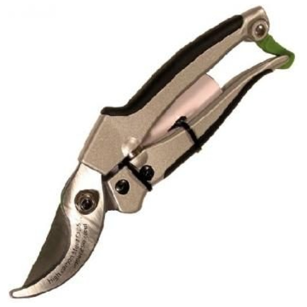 Greinaklippur, Darby