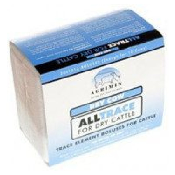 Forðastautar, geldstöðu, Dry Cow