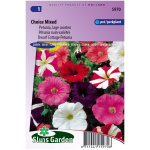Tóbakshorn, Petunia Dwarf Choice Mixed