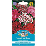 Stúdentadrottning, Sweet William Mon.Mix