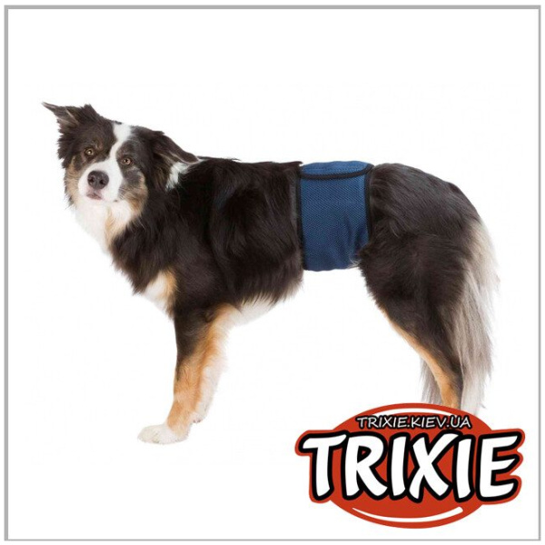 Belly band, fyrir hunda, XL, 65-75cm #