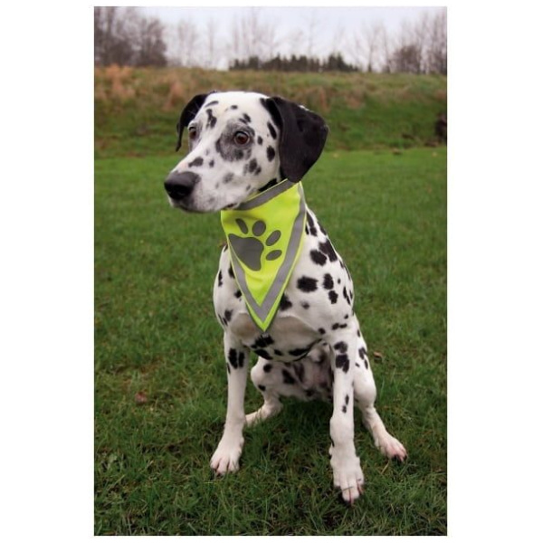 Hundahálsklútur, L-XL, 43-60cm