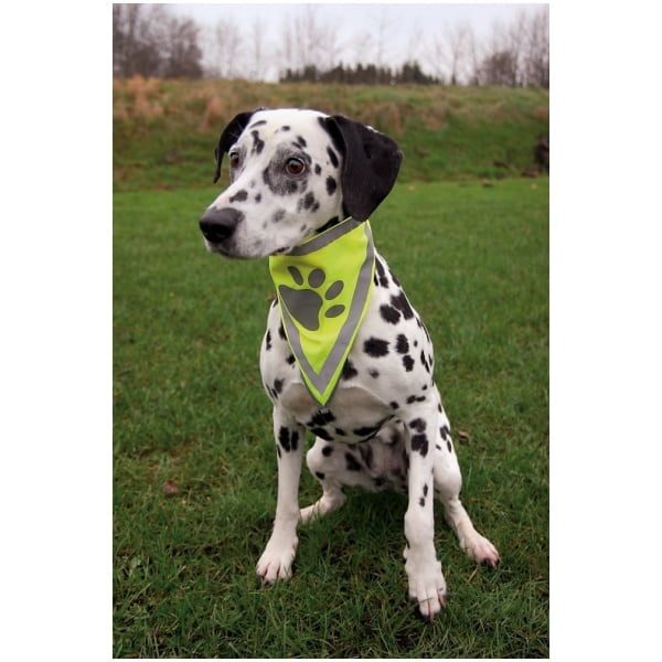 tx30123-600x600-1.jpg Hundahálsklútur, L-XL, 43-60cm - Image 1