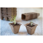 Pottur, trefja, 6x6x6cm, Nature