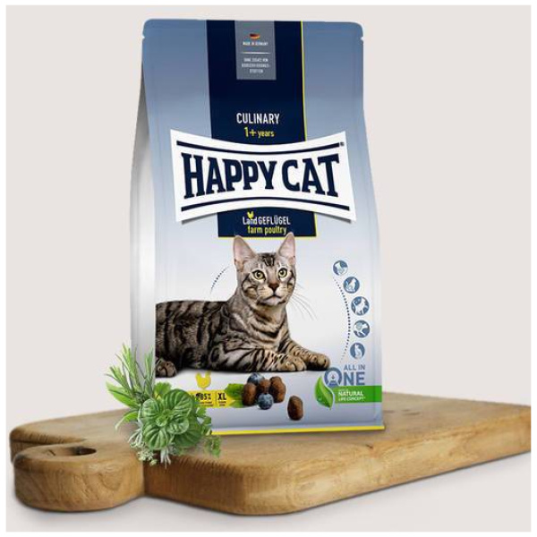 Kattamatur, HC, Alifugl, 10kg